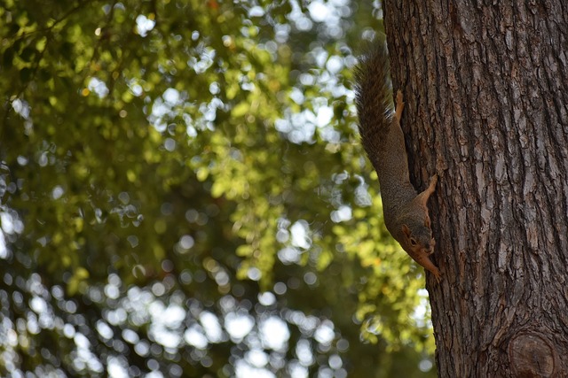利用自身快 利用自身快