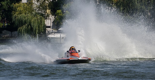 专业性和公 专业性和公