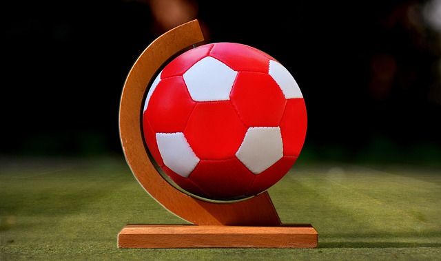 员的体能表 员的体能表