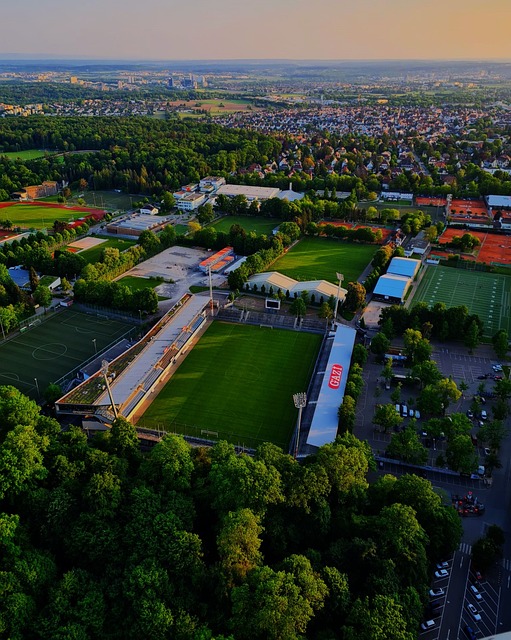 其背后是多 其背后是多